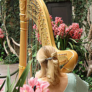 Longwood Gardens - Harp Excellence